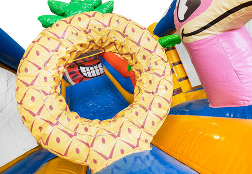 Ordina il castello gonfiabile gonfiabile Multi Slide Caribbean con scivolo per bambini. Acquista castelli gonfiabili gonfiabili ora online su JB Gonfiabili Italia